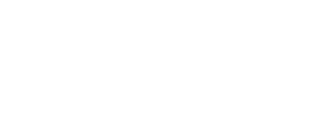 Brisa Logo