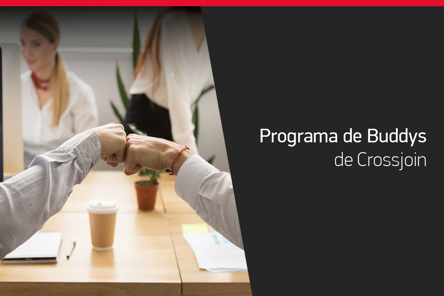 Programa de Buddys de Crossjoin